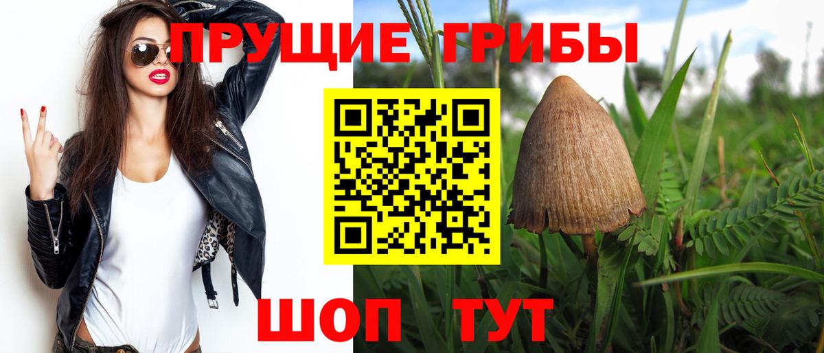 Галлюциногенные грибы GOLDEN TEACHER Рыбинск